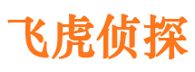 巴东侦探调查公司